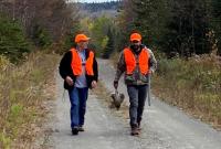 Maine’s grouse season is almost here. Here’s what to expect.