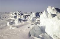 Will You Take Ice with That? The Latest Madness from Nature Rights