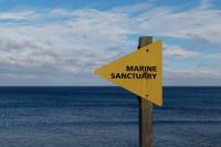 100 Countries Have Ratified the High Seas Treaty