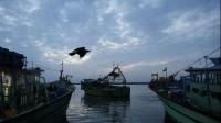Indian tuna free of parasites, says govt after study in Brazil triggers concerns