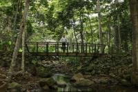 World AFP Cash for nature protection: hotelier's offer to Principe islanders