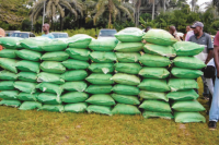 Nigeria’s fertiliser use shortfall