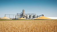 Global Biofuels Output Could Surge 70% Amid Energy Crisis