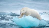 Polar Express! Picture editor turned explorer releases book of stunning images from his travels