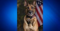 Illinois teen runs to honor Hancock County’s fallen K9 officer