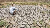 New Map Reveals Where This ‘Super’ El Niño Will Hit Hardest, and It’s Not Pretty