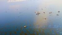 New map shows how oil slicks are smothering our oceans - with one hotspot in Europe