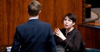 Finnish MP warns against politicians becoming "AI puppets"