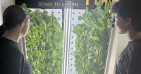 As food insecurity rises, Ohio schools hope to cultivate help in the classroom