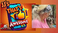 JJ’s That’s Awesome: Baby Raccoon Boot Camp