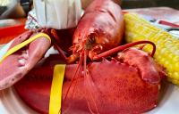 Restaurants, DTC suppliers highlight Maine lobster during Maine Lobster Week