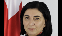 The judge from Kutaisi questioned the constitutionality of the article on insulting public officials.