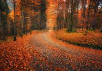 Fall Travel: The Cheapest Off Season Destinations