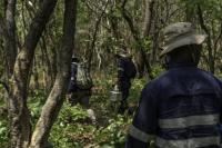 US miner KoBold bets on AI to gain edge in DR Congo mineral h