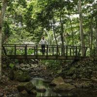 Cash for nature protection: hotelier's offer to Principe islanders