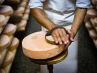 Bacteria secrets revealed of 142-year-old Swiss cheese