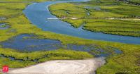 In 2014, New Jersey reused 7,000 cubic yards of dredged sand at Ring Island; the new nesting ground was later used by 4 threatened or at-risk shorebird species