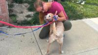 Indiana shelter reunites missing dog with Nebraska owner after 5 years apart