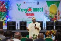 Nigeria Invites Taiwan To Establish Greenhouse Technology For Vegetable Industry Growth 