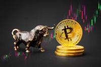 Elon Musk’s Two Companies: Divergent Paths on Bitcoin. Who Made the Smarter Move?