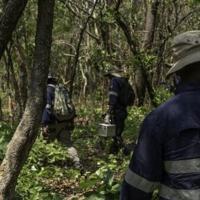 US miner KoBold bets on AI to gain edge in DR Congo mineral hunt