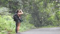 More Than Just Scenery: Mendolo Tourism in Pekalongan Invites Visitors to Observe Wildlife
