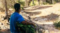 What Is Solastalgia? Understanding the Psychology of Environmental Loss