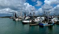 American Samoa hopes to shield tuna trade under Senate's anti-poaching bill