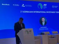 Middle Corridor opens new investment opportunities in Azerbaijan, Deputy Minister says