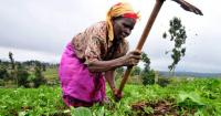 African Agriculture Marks A Major Success As $700 Million In Financing Initiatives Take Shape