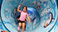 See pictures from Panhandle-South Plains Fair preview night in Lubbock