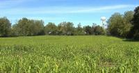 Kutztown University Foundation makes major investment in renewable energy