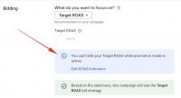 Google Ads Disables Editing Target ROAS While Promotion Mode Is Active