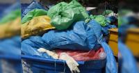 Bengaluru to raise waste transport capacity to 9,000 tonnes a day, mandate GPS tracking