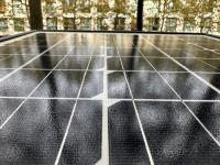 China and U.S. module prices hold ahead of Golden Week and Section 232 price floors