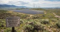 Growing Impact of ESA Jurisdiction Amid Unprecedented Energy Demand