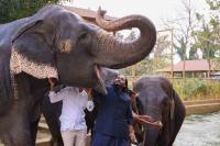 Indian Oil Heir Who Runs Controversial Mega-Zoo Made Sustainability Professor at Newcastle University