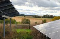 German developer tests roe deer passages at solar park
