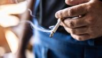 Cannabis Use Common Among Older Adults in New York City