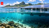 Floating solar panels sharply reduce light reaching the seabed in French Polynesia while having no detectable effect on lagoon water temperature