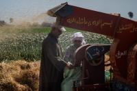 The Rise of the Parallel State in Egypt