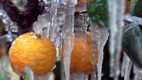 Will Florida stay cool this fall? See the forecast