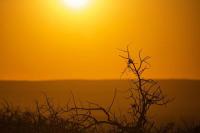 El Niño rundown: from first warnings to a 451,000-death projection