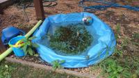 Want to mosquito-proof your Florida home? Here's what to look for