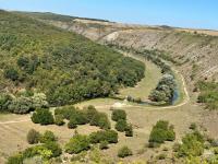 PHOTO // Moldova’s protected areas strengthened through restoration works, planting and new management tools