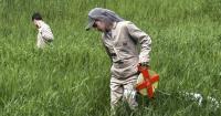 Collaborative research on Lyme disease gives Vt. students hands-on experience