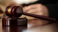 Panel to review EU carbon border adjustment mechanism and emissions trading scheme