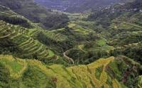 Philippines emerges as key driver of global tourism growth – WEF