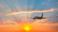Another airline suddenly stops all ticket sales