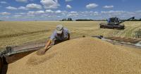 Latvia tightens checks on grain transit amid concerns over crops stolen from occupied Ukraine